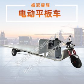 广东电动平板车